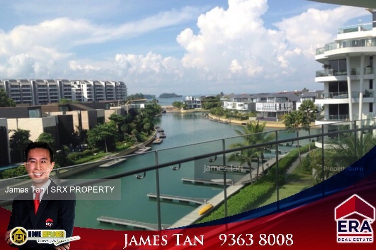 Turquoise thumbnail photo